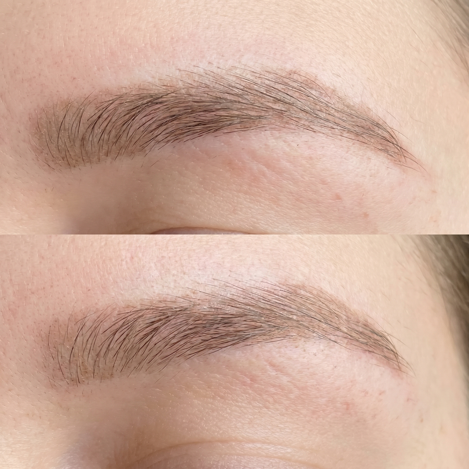 Ghost phase brow healing PMU